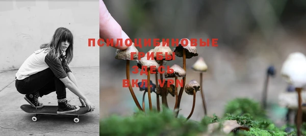 мет Кукмор