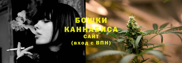 стафф Кулебаки