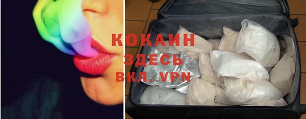 стафф Кулебаки