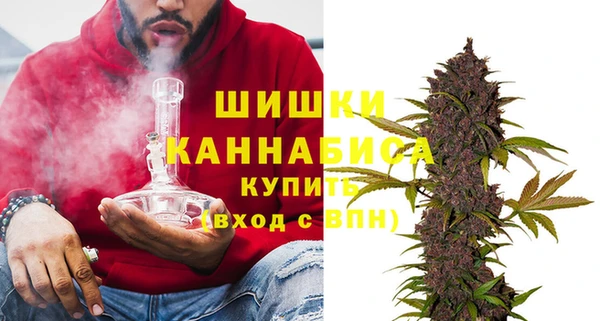 стафф Кулебаки