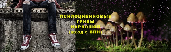 стафф Кулебаки