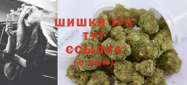 стафф Кулебаки