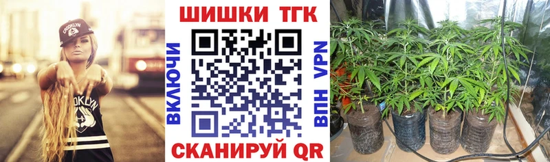 Каннабис планчик Ачхой-Мартан